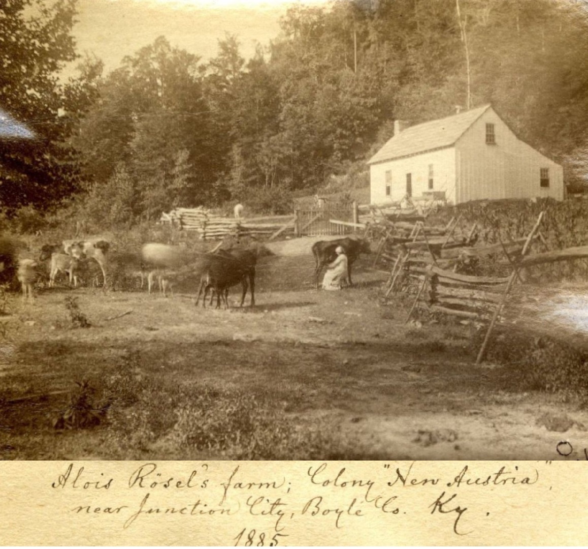 immigratie Boyle County (1)